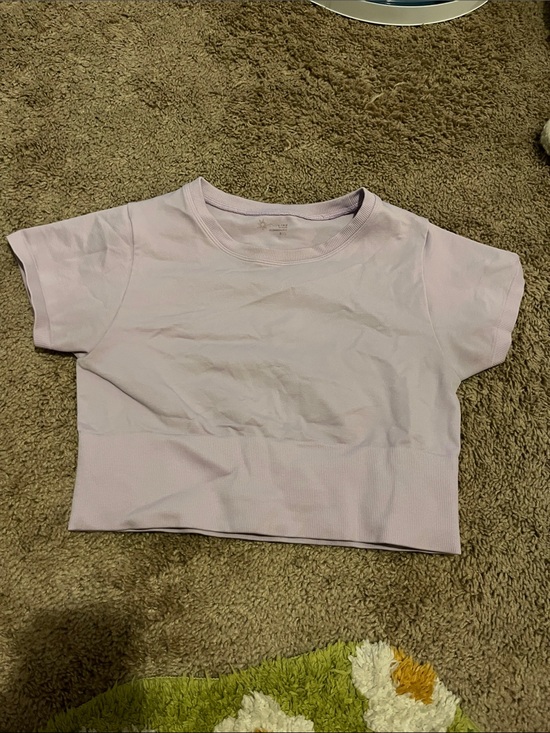 aerie Tops - Light Lavender Cropped Tee aerie offline medium